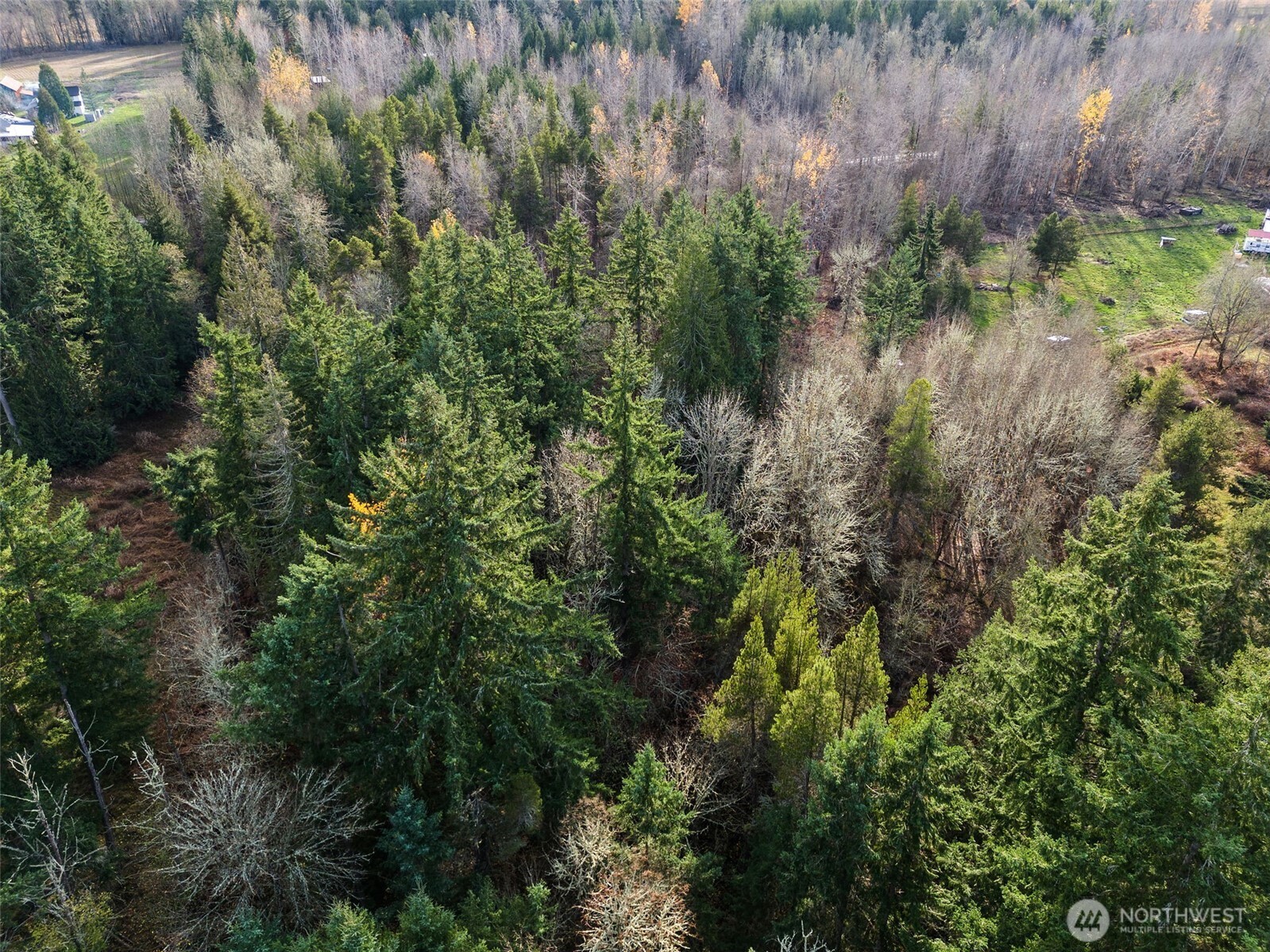 15718 153rd Avenue SE, Yelm, WA 98597