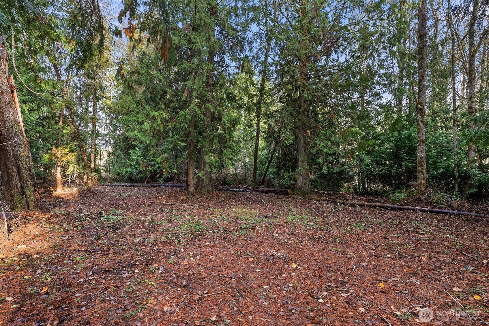 15718 153rd Avenue SE, Yelm, WA 98597