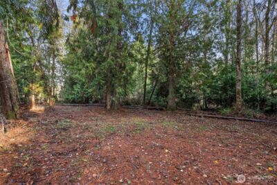 15718 153rd Avenue SE, Yelm, WA 98597 - Photo 4