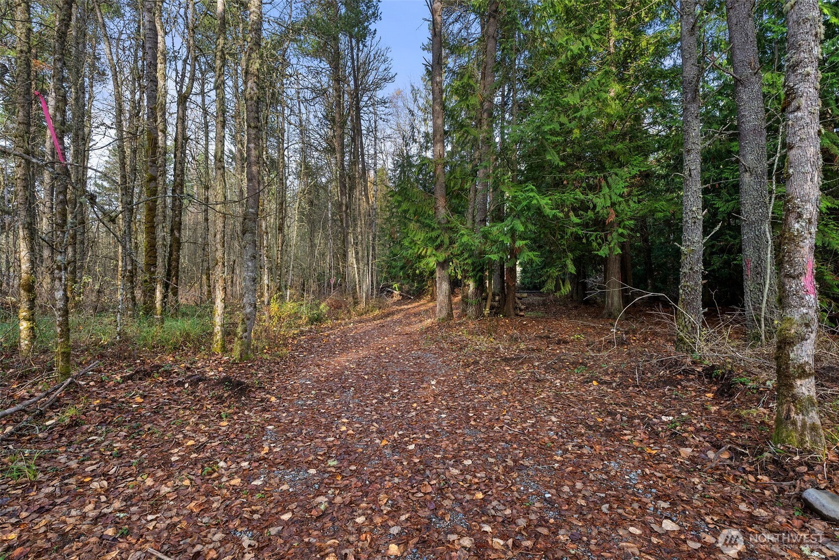 15718 153rd Avenue SE, Yelm, WA 98597