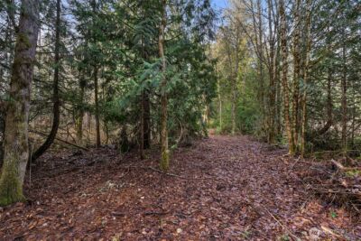 15718 153rd Avenue SE, Yelm, WA 98597 - Photo 6