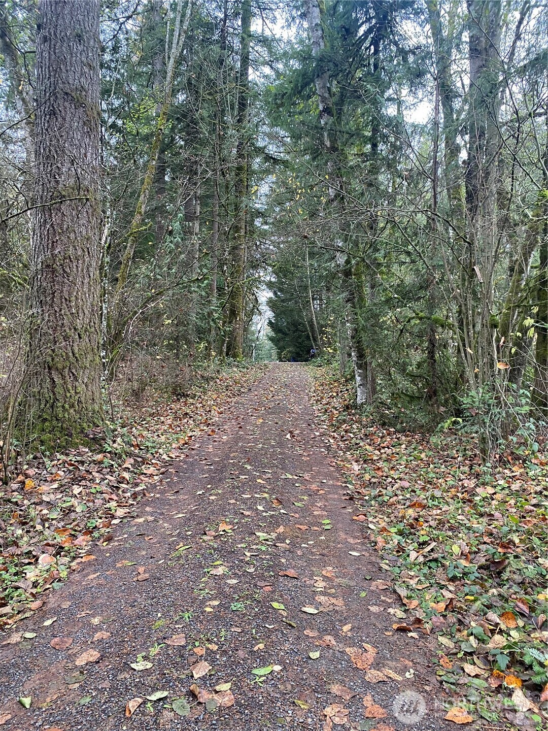 35819 NE 137 Court , La Center, WA 98629