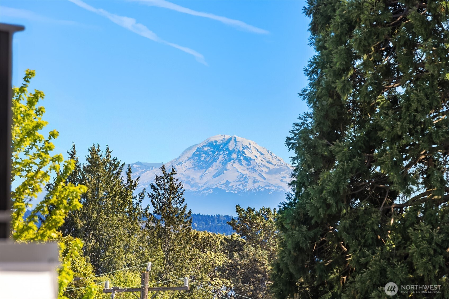 1802 38th Avenue , Seattle, WA 98122