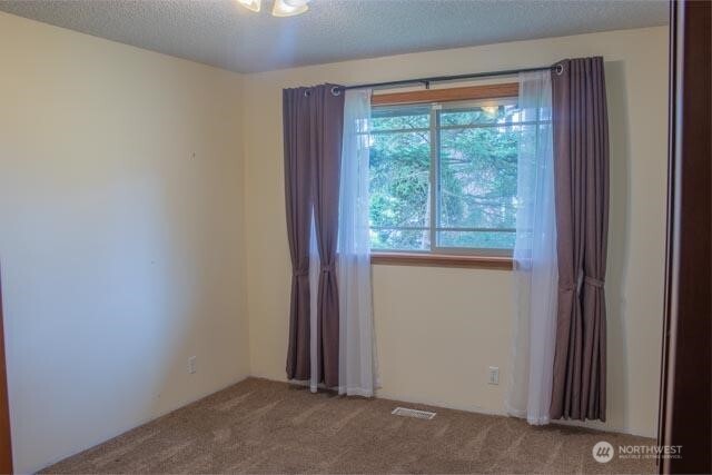 9844 173rd Avenue SW, Rochester, WA 98579