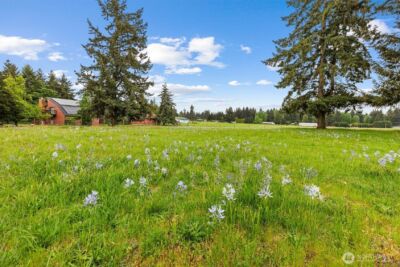 8011 188th Avenue SW, Rochester, WA 98579 - Photo 39