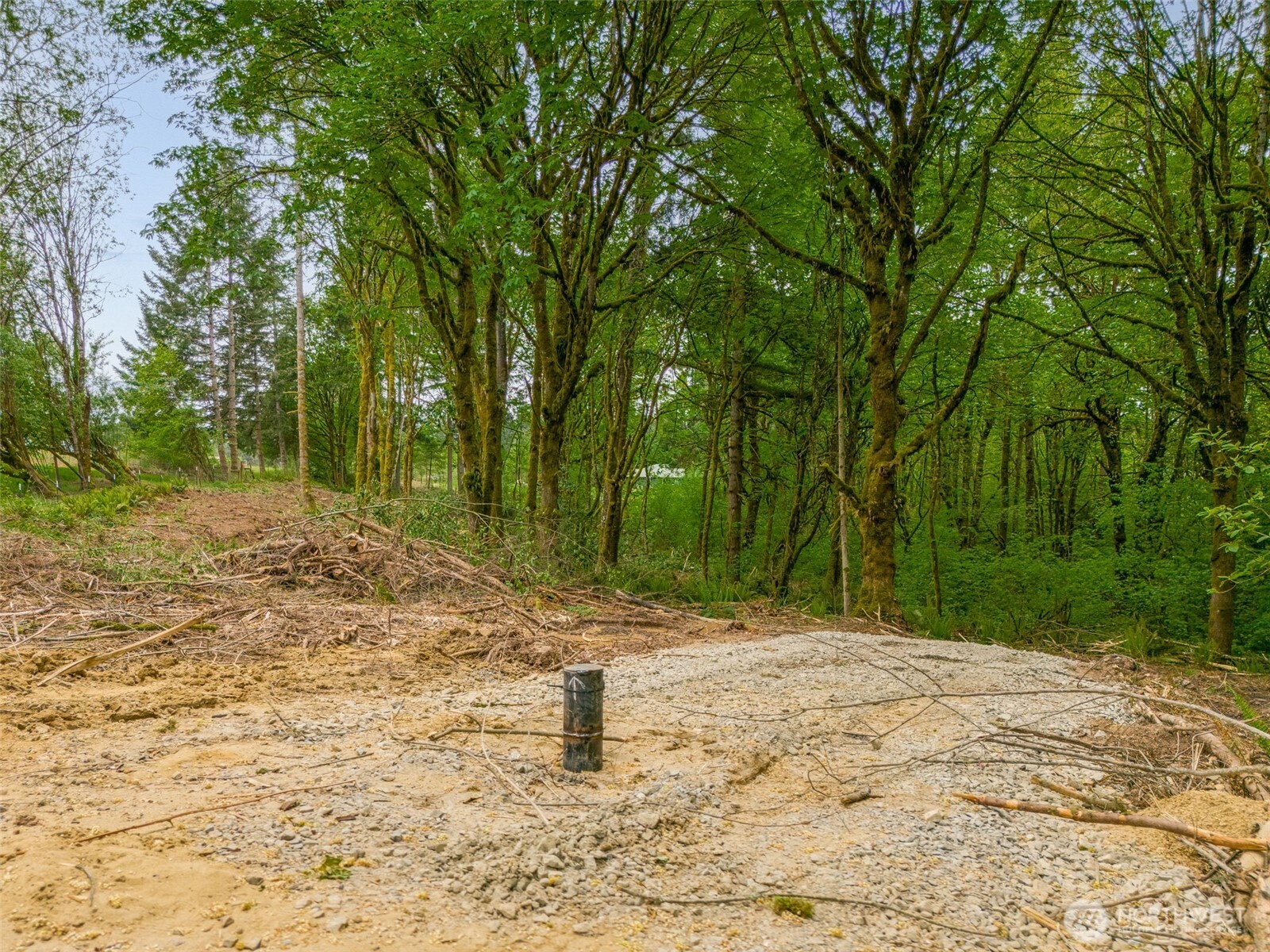 0 NW 314th Circle #43, Ridgefield, WA 98642