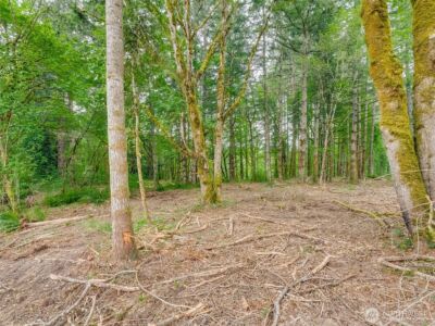 0 NW 314th Circle #50, Ridgefield, WA 98642 - Photo 12