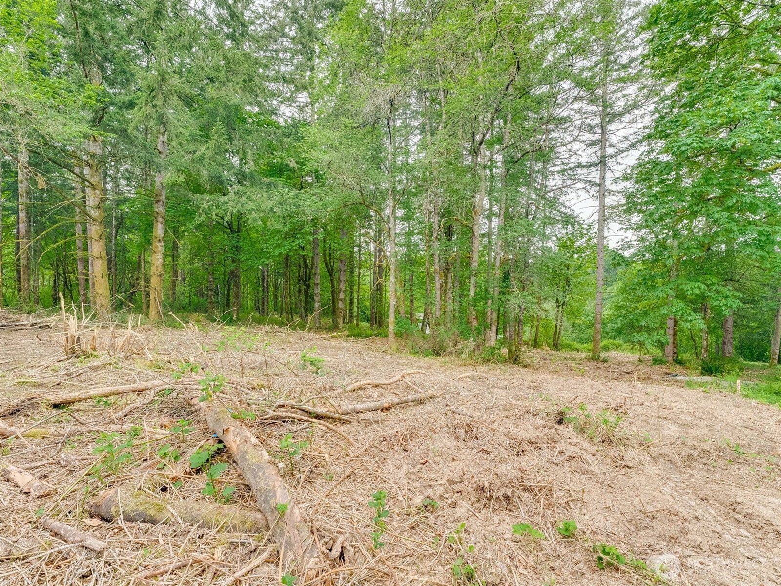 0 NW 314th Circle #50, Ridgefield, WA 98642