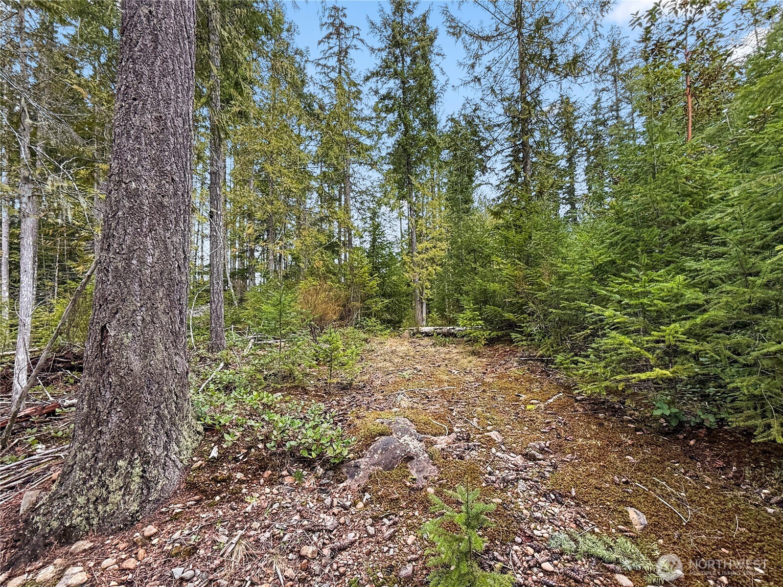 61 N Dow Court , Hoodsport, WA 98548