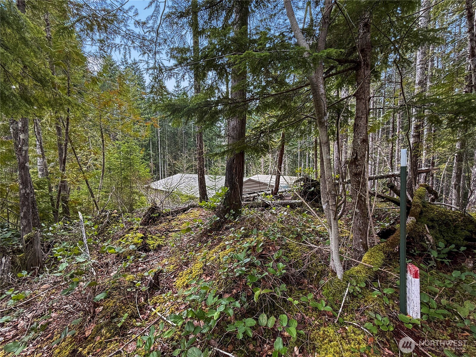 61 N Dow Court , Hoodsport, WA 98548