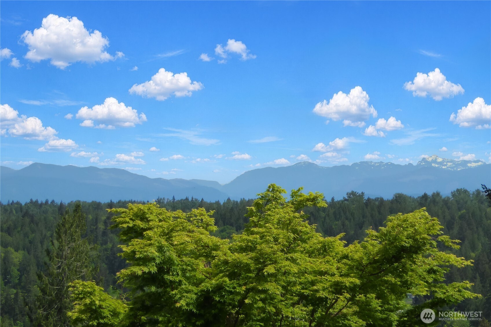 2446 279th Drive SE, Sammamish, WA 98075-4114