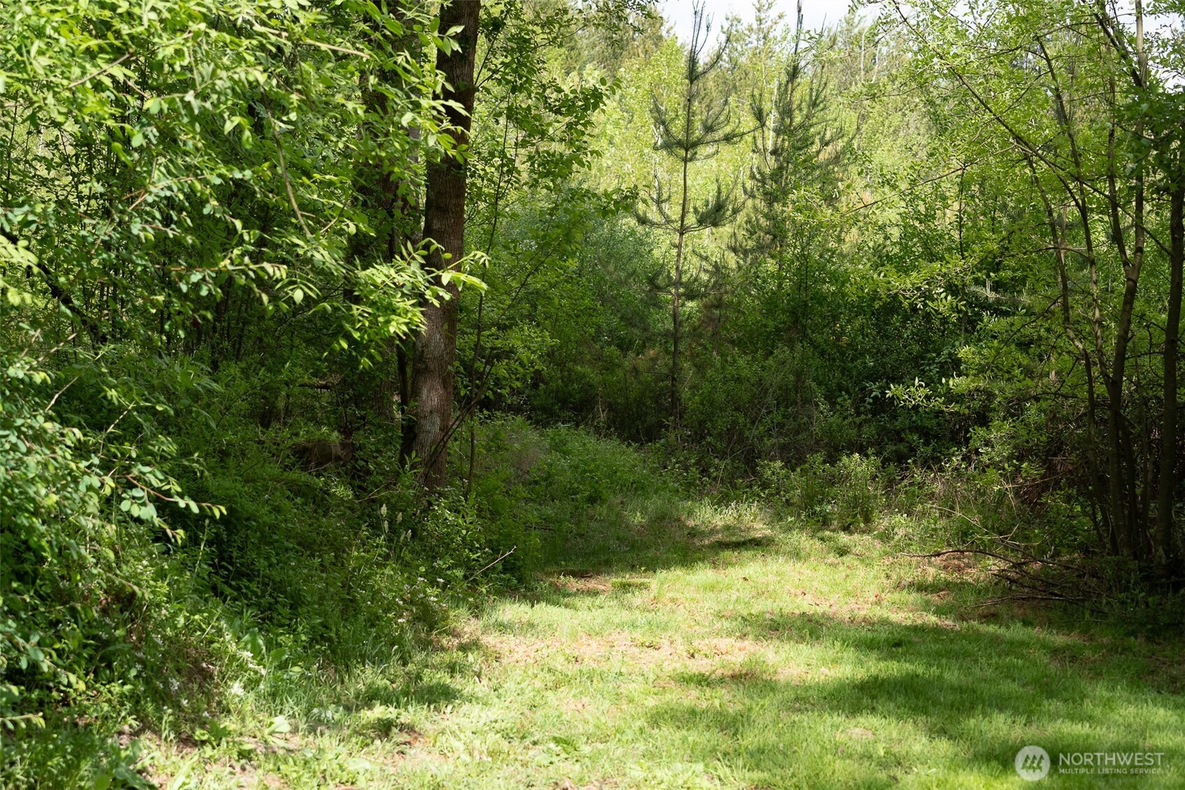 236 Gray Road , Toledo, WA 98591
