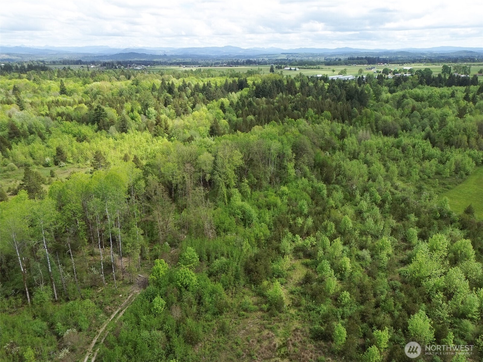 236 Gray Road , Toledo, WA 98591