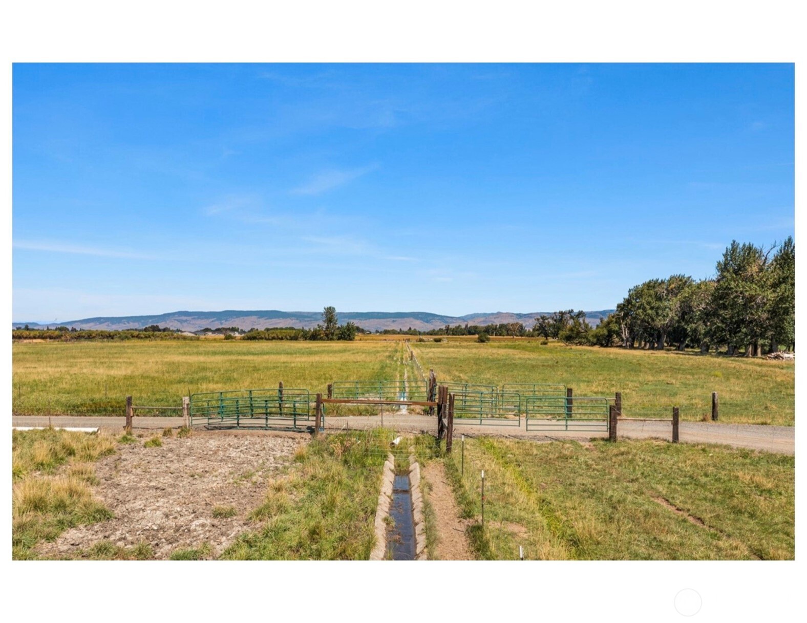 407 Walker Drive , Ellensburg, WA 98926