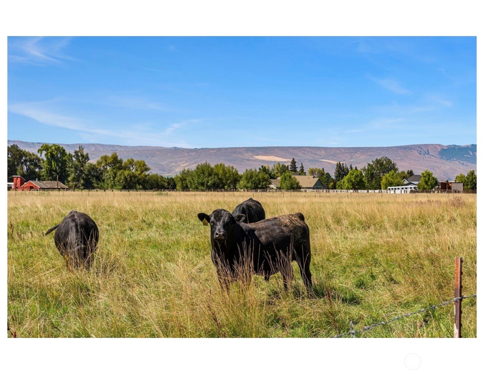 407 Walker Drive , Ellensburg, WA 98926