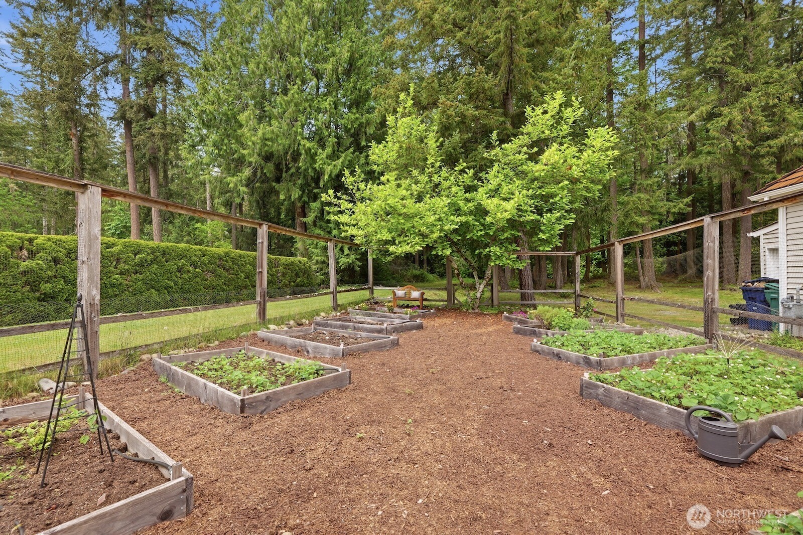 22408 NE 46th Street , Redmond, WA 98053-8241