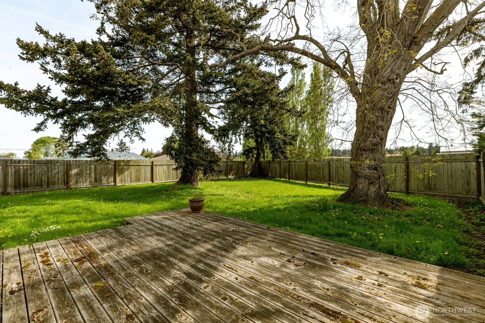 164 NE Ernst , Oak Harbor, WA 98277