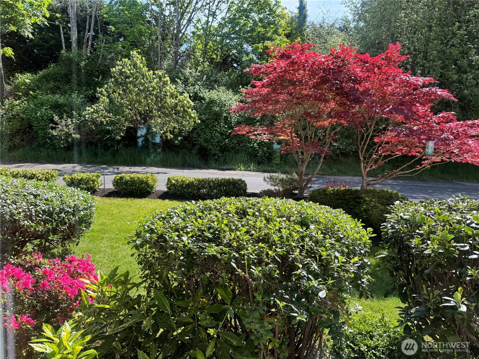 29015 15th Place S, Federal Way, WA 98003