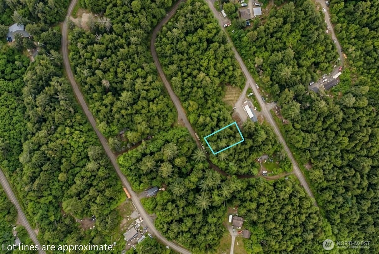 0 xxx Hummingbird Drive , Taholah, WA 98587