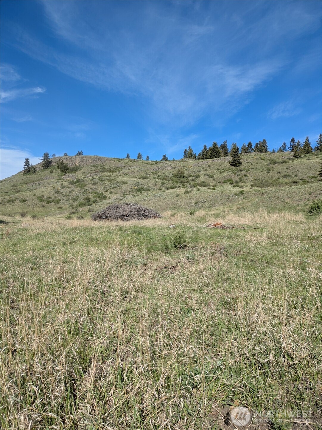 84 1/2 Pratt Road , Oroville, WA 98831