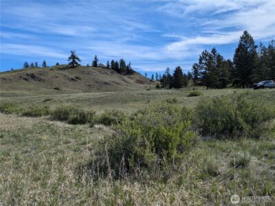 84 1/2 Pratt Road , Oroville, WA 98831 - Photo 15
