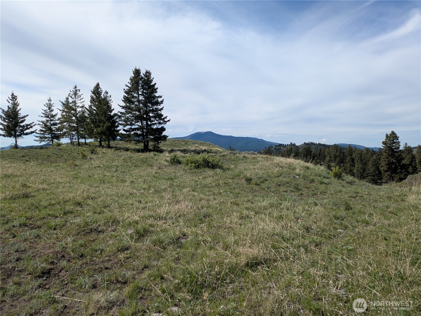 84 1/2 Pratt Road , Oroville, WA 98831