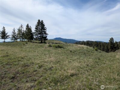 84 1/2 Pratt Road , Oroville, WA 98831 - Photo 16