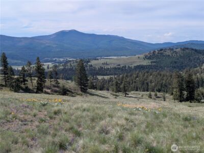 84 1/2 Pratt Road , Oroville, WA 98831 - Photo 17
