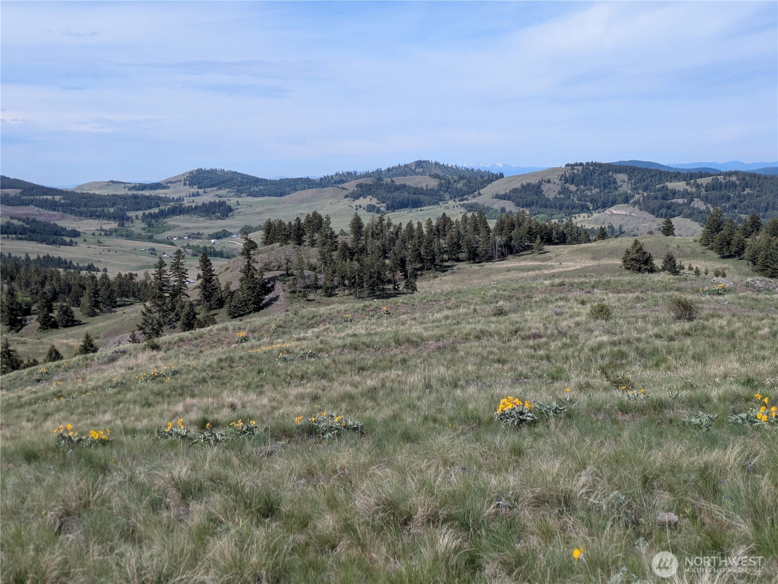 84 1/2 Pratt Road , Oroville, WA 98831