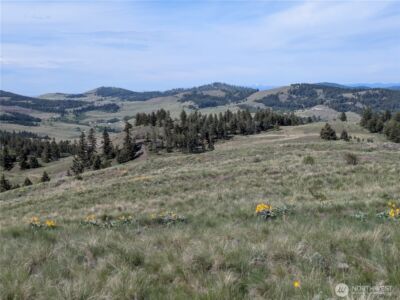 84 1/2 Pratt Road , Oroville, WA 98831 - Photo 18