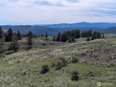 84 1/2 Pratt Road , Oroville, WA 98831 - Photo 20