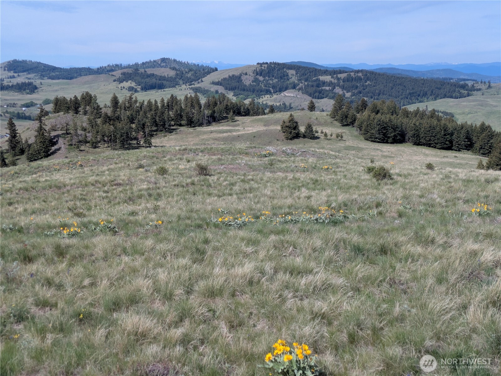 84 1/2 Pratt Road , Oroville, WA 98831