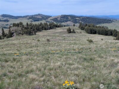 84 1/2 Pratt Road , Oroville, WA 98831 - Photo 21