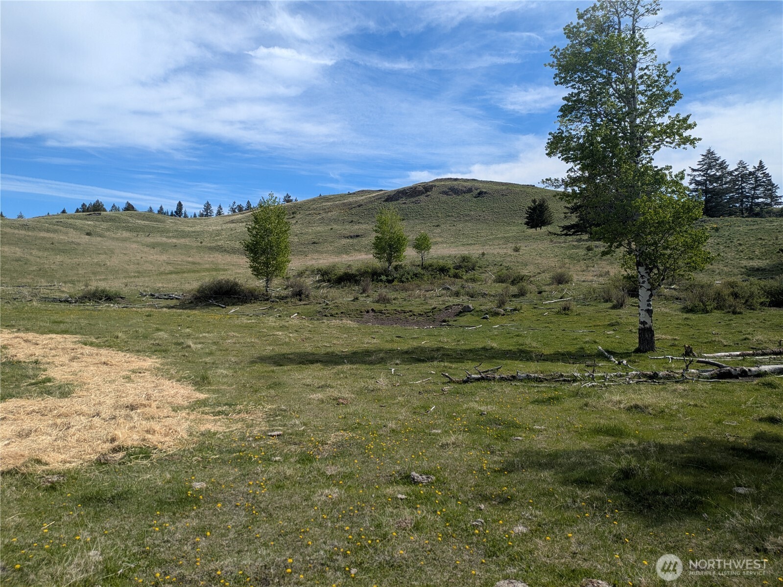 84 1/2 Pratt Road , Oroville, WA 98831