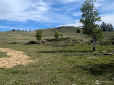 84 1/2 Pratt Road , Oroville, WA 98831 - Photo 23