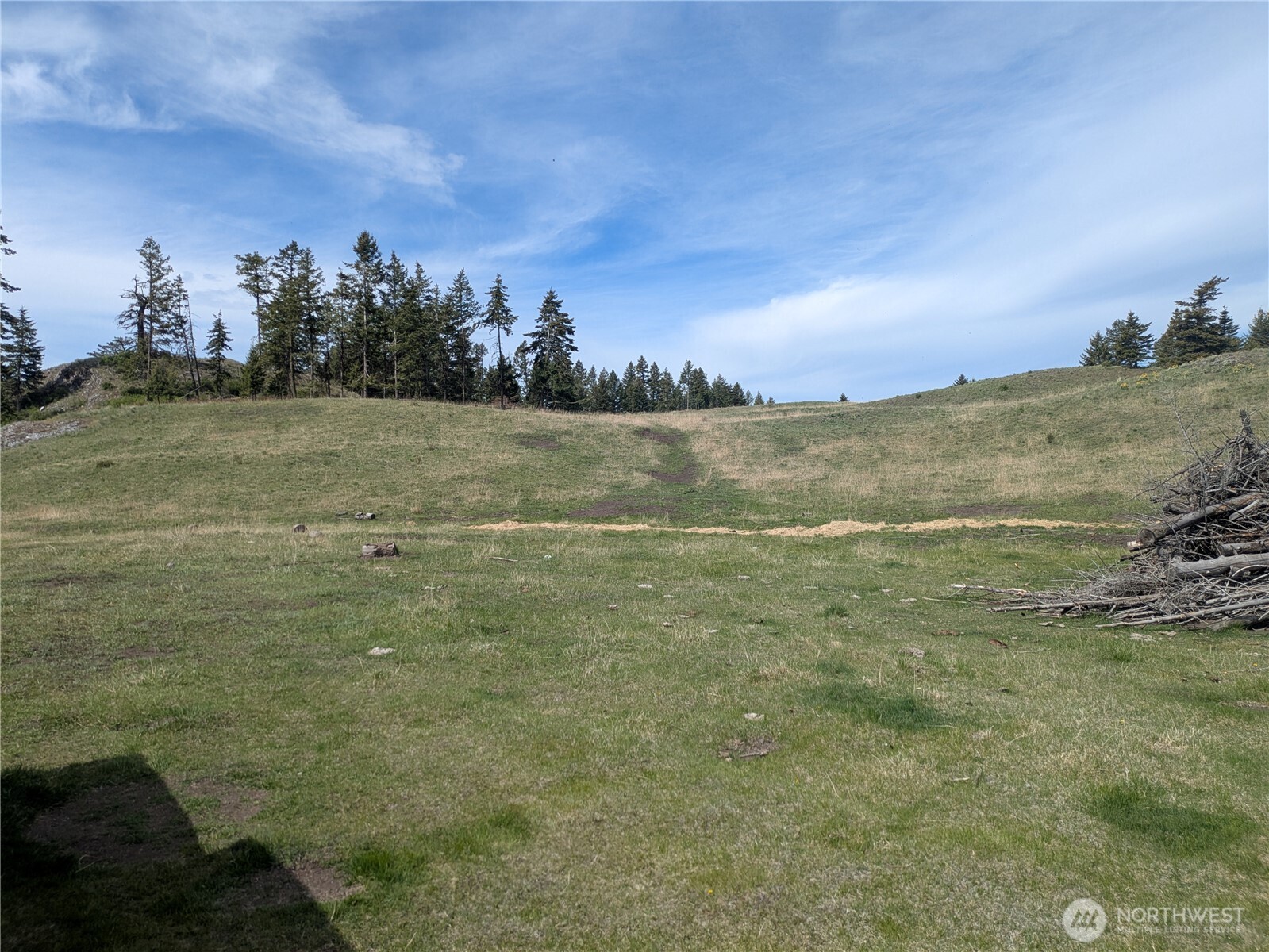84 1/2 Pratt Road , Oroville, WA 98831