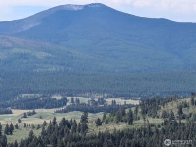 84 1/2 Pratt Road , Oroville, WA 98831 - Photo 4