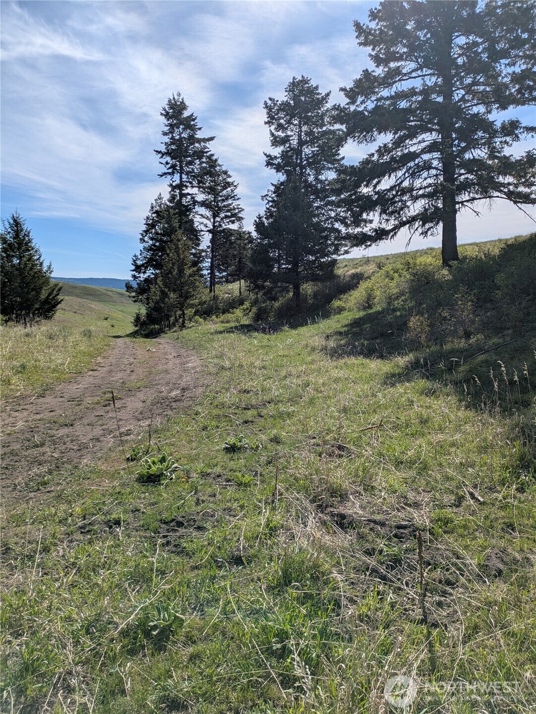 84 1/2 Pratt Road , Oroville, WA 98831