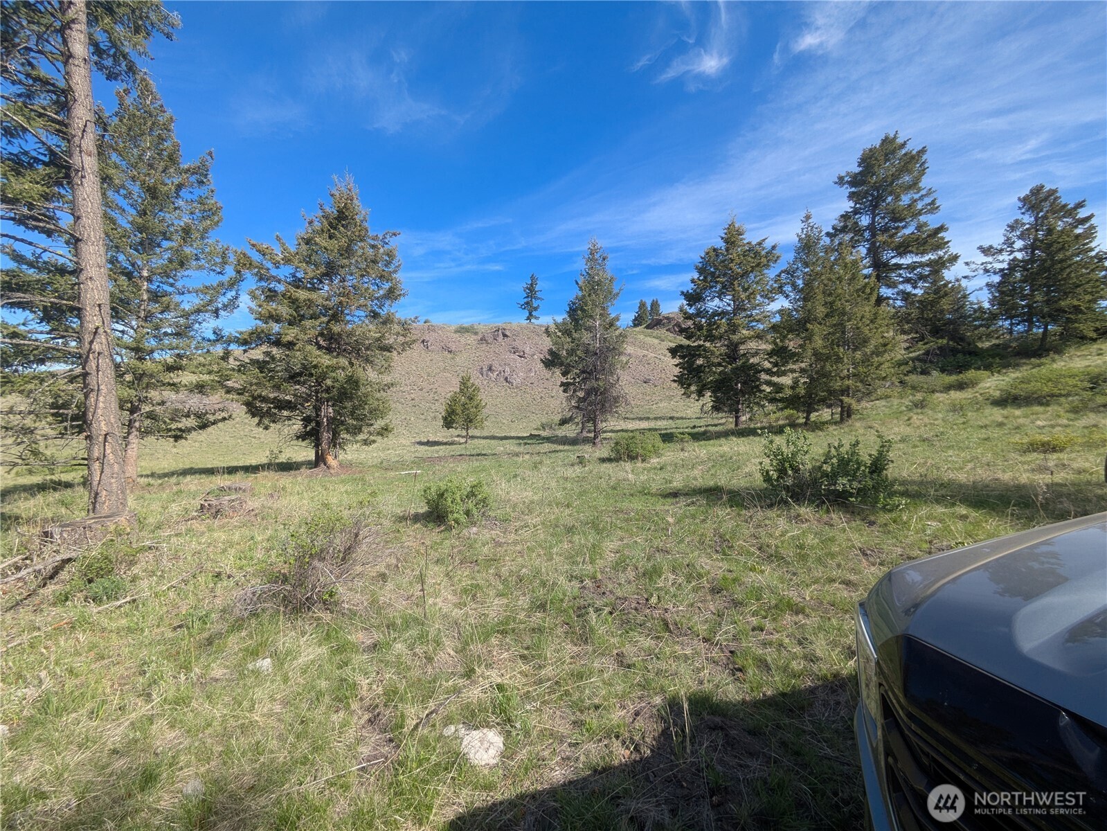 84 1/2 Pratt Road , Oroville, WA 98831