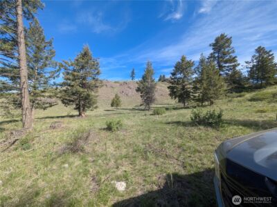 84 1/2 Pratt Road , Oroville, WA 98831 - Photo 8
