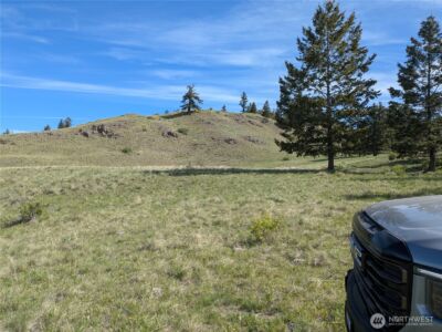 84 1/2 Pratt Road , Oroville, WA 98831 - Photo 9