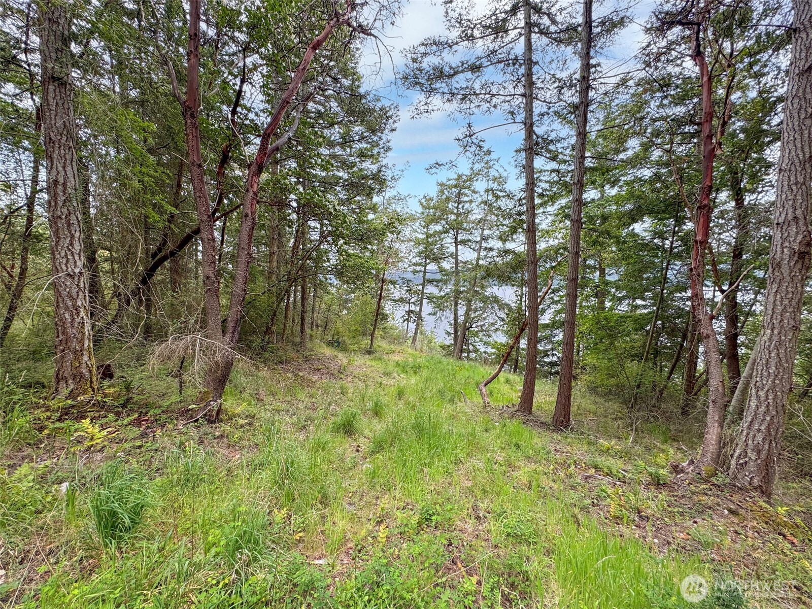 136 Discovery Crest Pl , Port Townsend, WA 98368