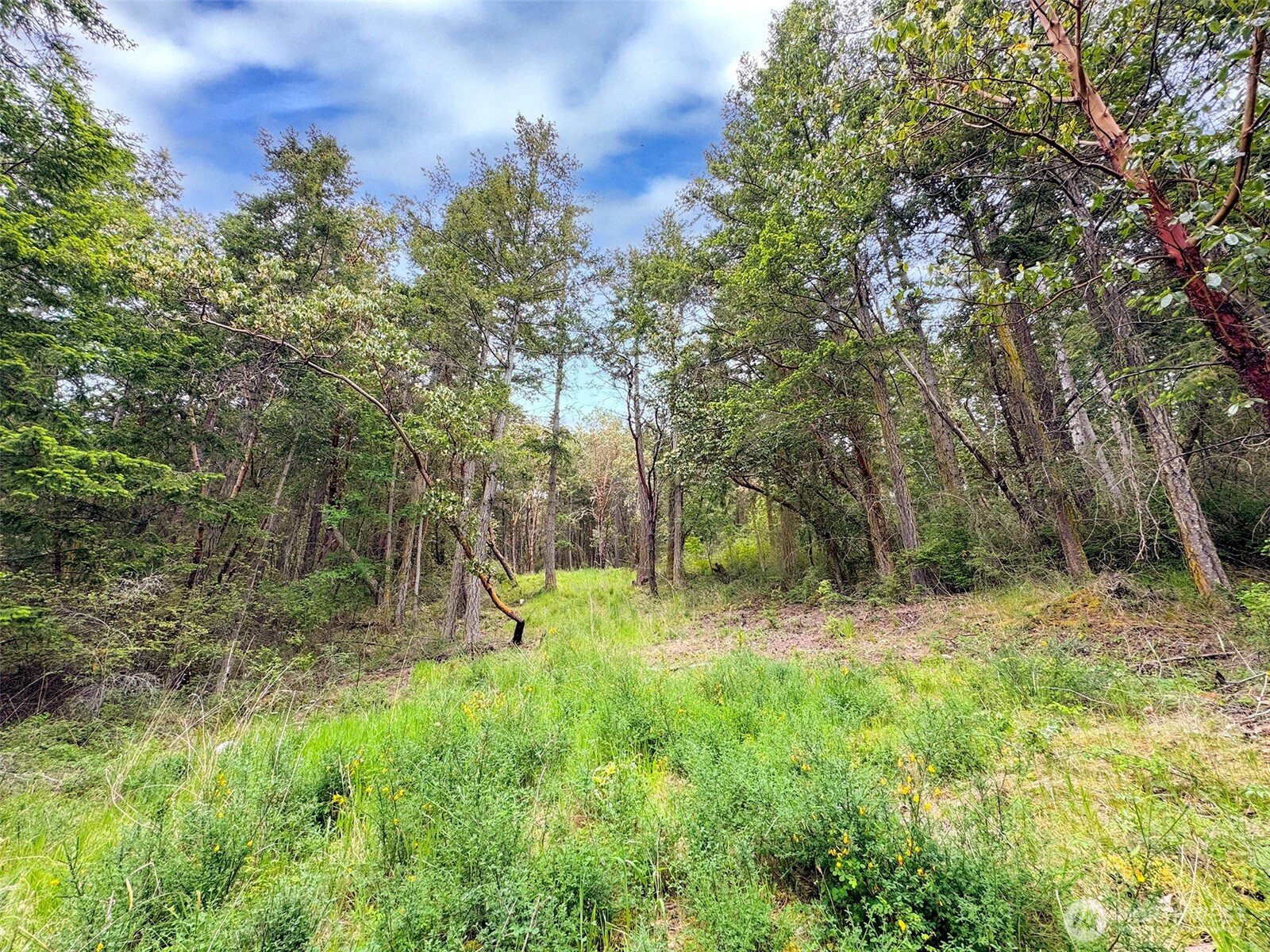 136 Discovery Crest Pl , Port Townsend, WA 98368