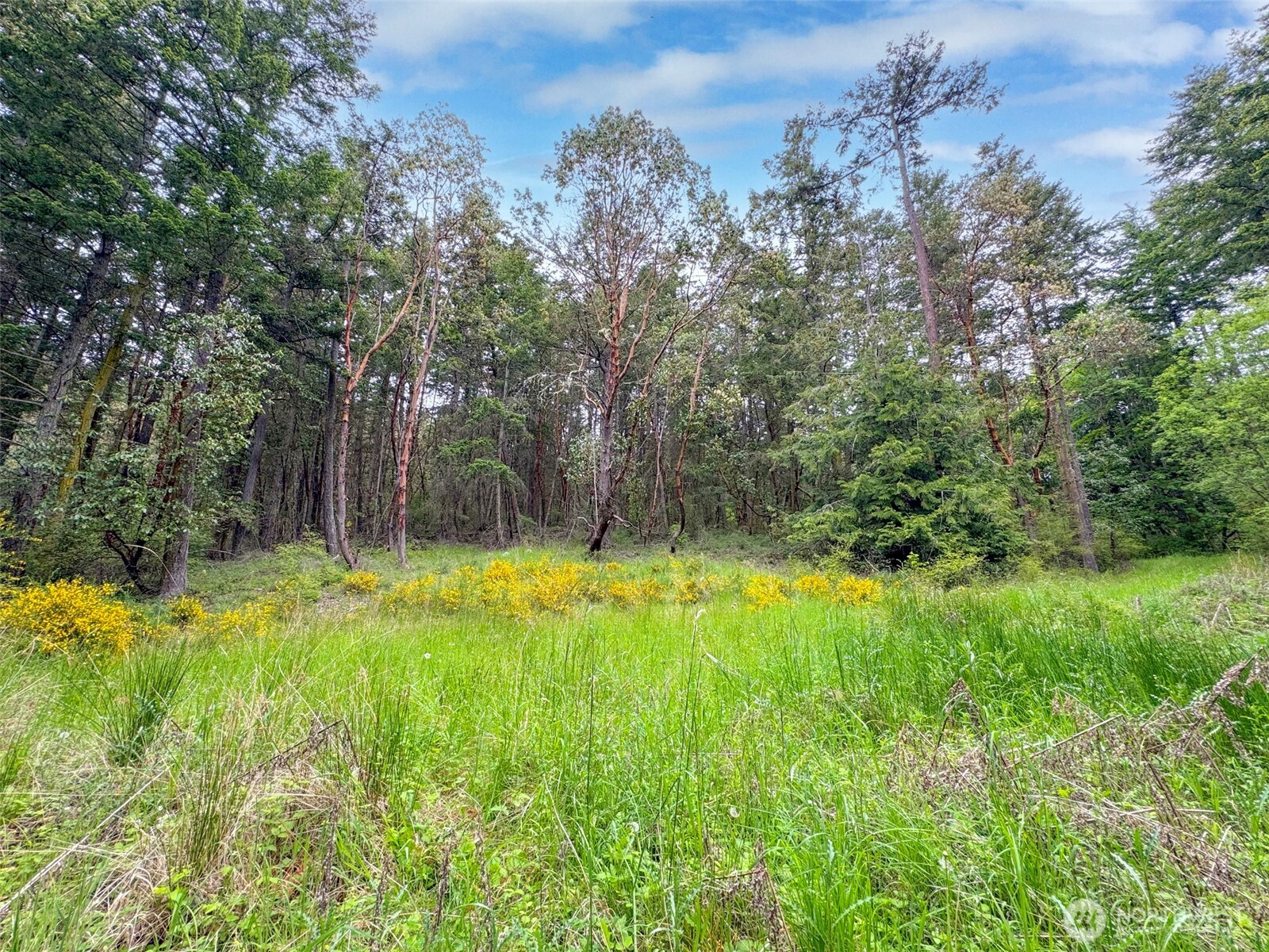 136 Discovery Crest Pl , Port Townsend, WA 98368