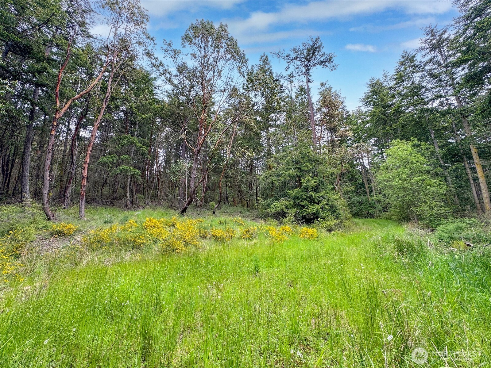 136 Discovery Crest Pl , Port Townsend, WA 98368