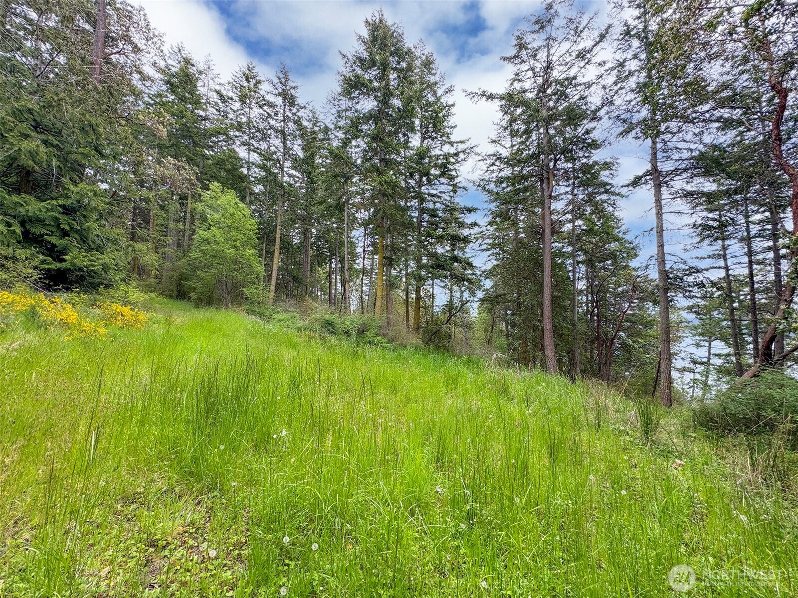 136 Discovery Crest Pl , Port Townsend, WA 98368