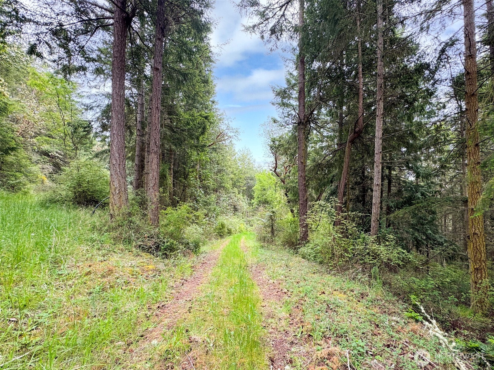 136 Discovery Crest Pl , Port Townsend, WA 98368