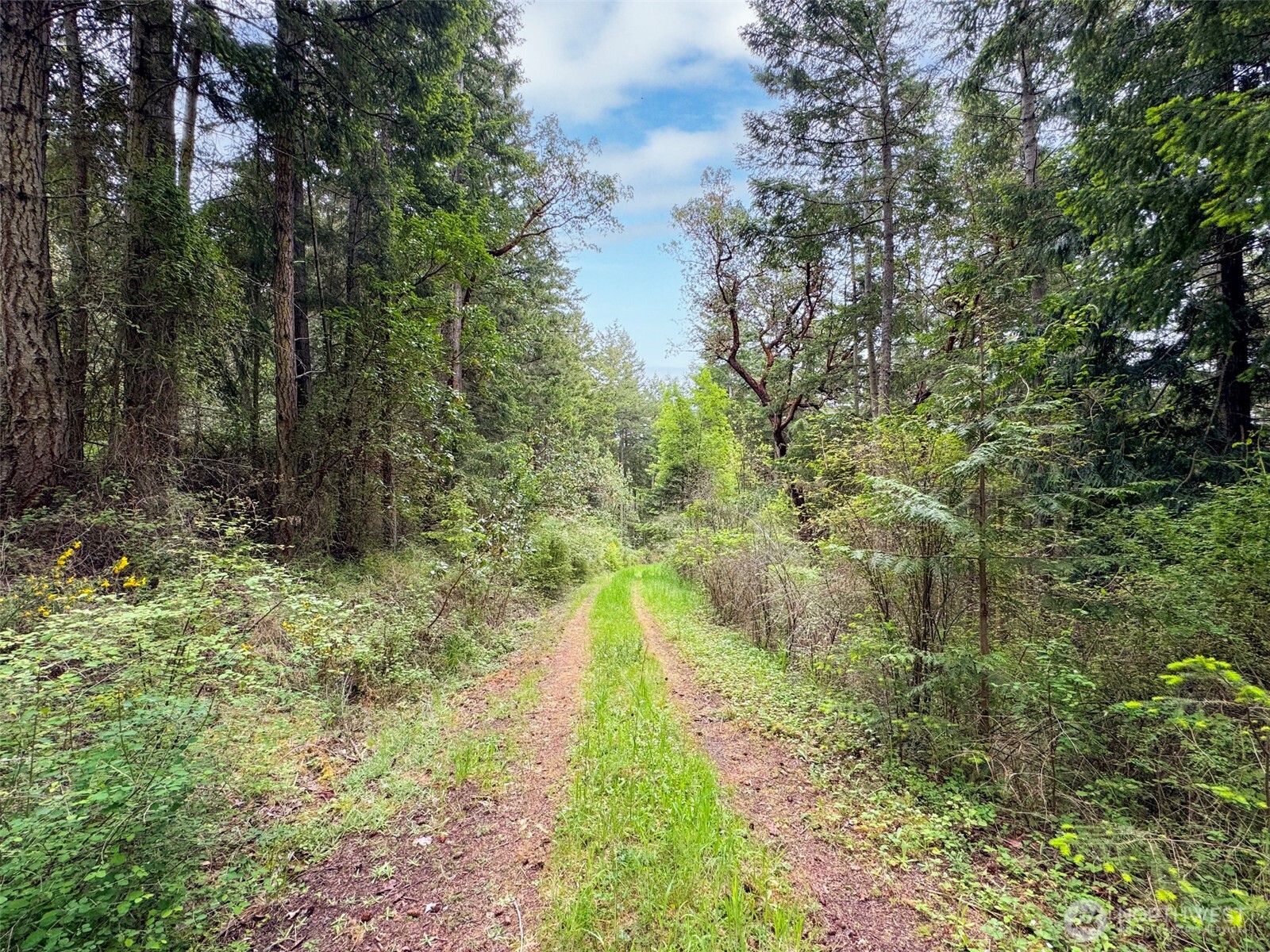 136 Discovery Crest Pl , Port Townsend, WA 98368