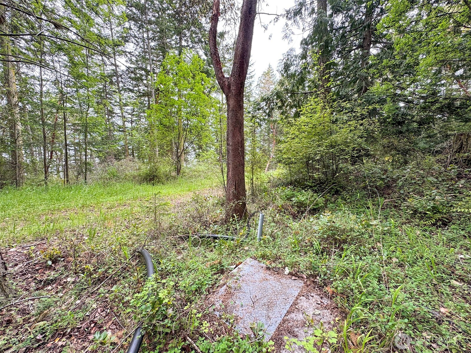 136 Discovery Crest Pl , Port Townsend, WA 98368