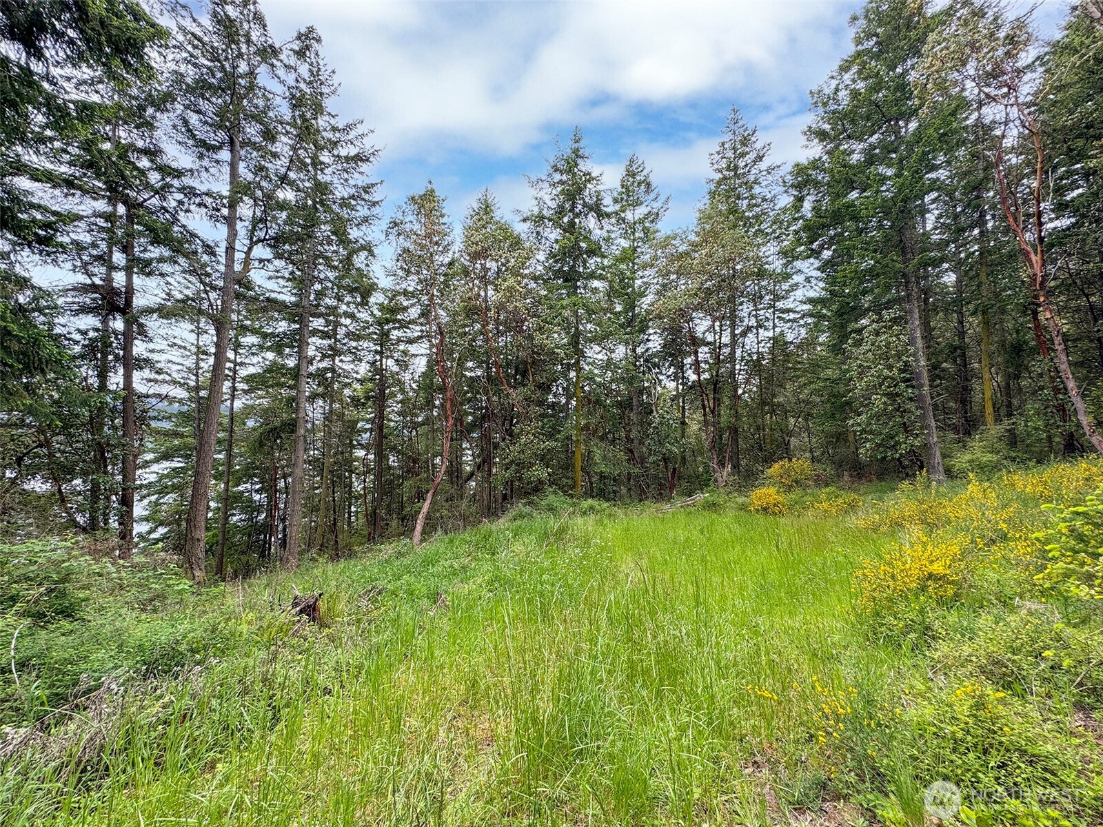 136 Discovery Crest Pl , Port Townsend, WA 98368